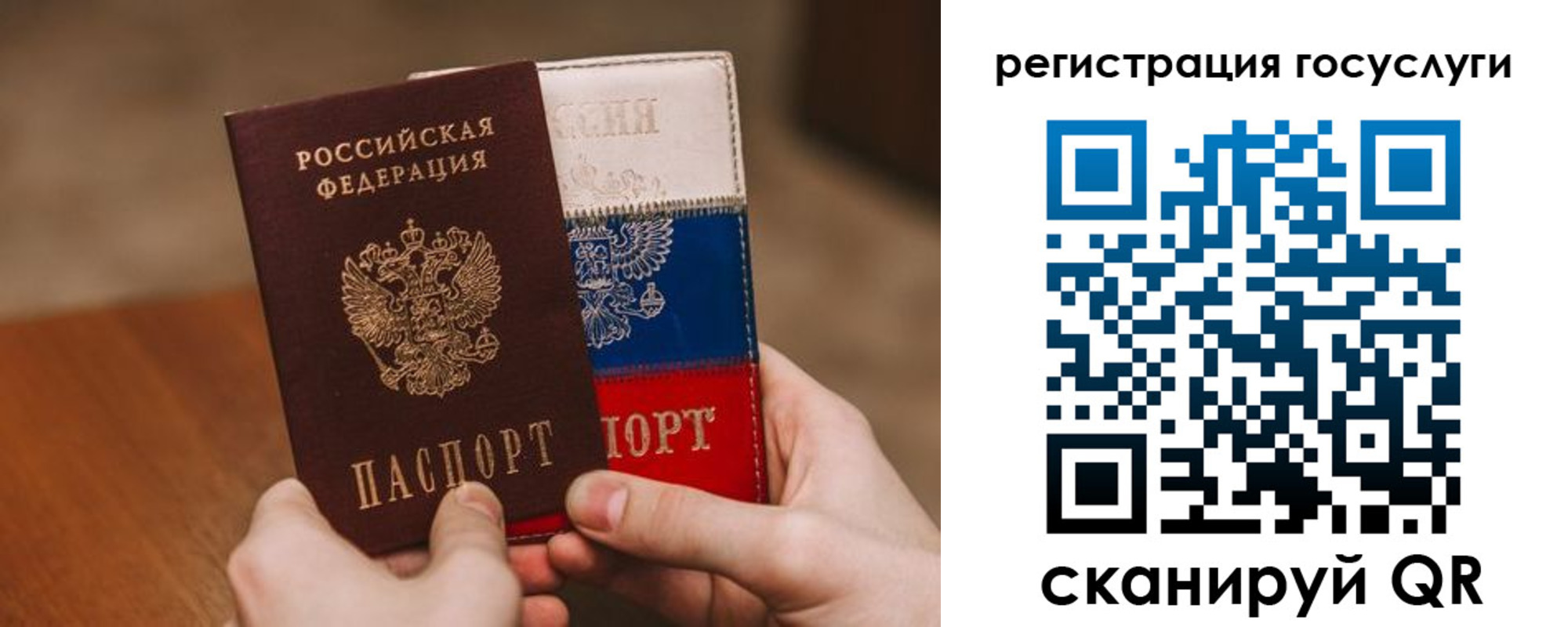 купить прописку в Струнино